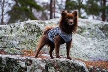 Load image into Gallery viewer, Aurora reflective jacket