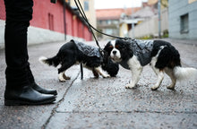 Load image into Gallery viewer, Aurora reflective jacket