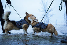 Load image into Gallery viewer, Aurora reflective jacket