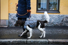 Load image into Gallery viewer, Aurora reflective jacket