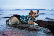 Load image into Gallery viewer, Brace protector jacket