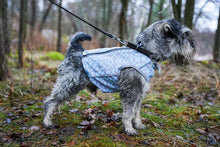 Load image into Gallery viewer, Brace protector jacket