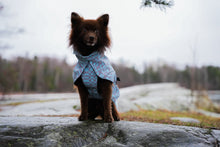 Load image into Gallery viewer, Frostbite winter coat