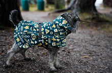 Load image into Gallery viewer, Frostbite winter coat