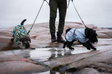 Load image into Gallery viewer, Frostbite winter coat