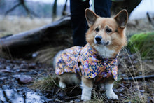 Load image into Gallery viewer, Stormrider raincoat