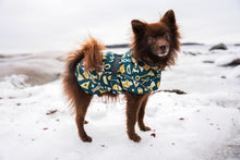 Load image into Gallery viewer, Stormrider raincoat