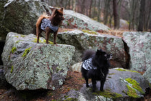 Load image into Gallery viewer, Tracer reflective vest