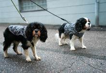 Load image into Gallery viewer, Tracer reflective vest