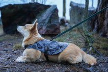 Load image into Gallery viewer, Tracer reflective vest