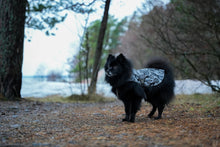 Load image into Gallery viewer, Tracer reflective vest