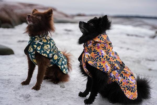 The sustainable pet apparel brand Beana Design