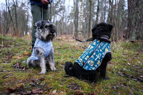 The sustainable pet apparel brand Beana Design